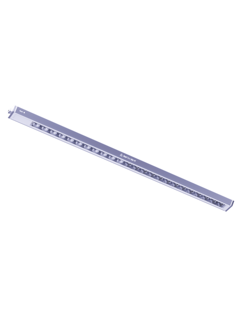 Reef flare BAR 2 M