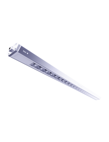 Reef flare BAR 2 M
